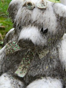 Bear in the Rain, Antioch Pioneer Cemetery