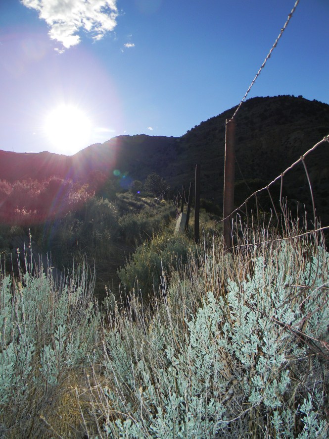 This is the wild west, cowboy country.