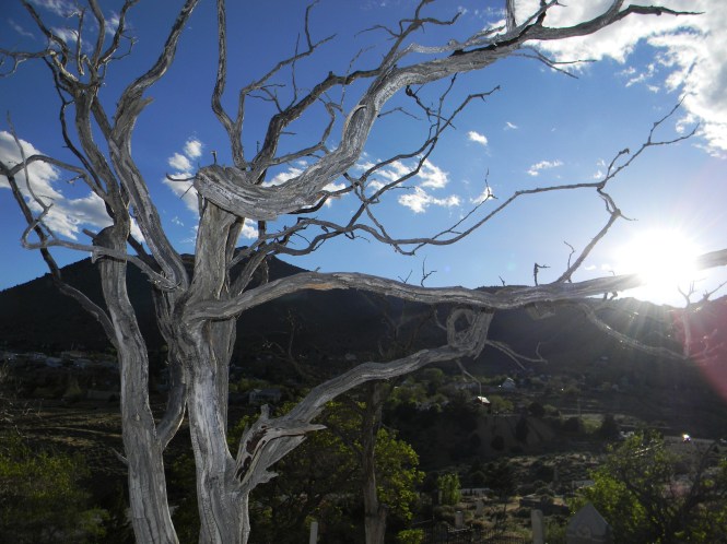My camera couldn't handle actually showing the eclipse, but the image is still pretty cool.