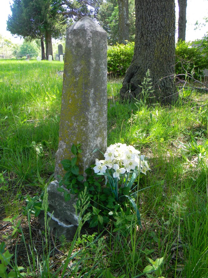 Perennials still bloomed through the weeds.