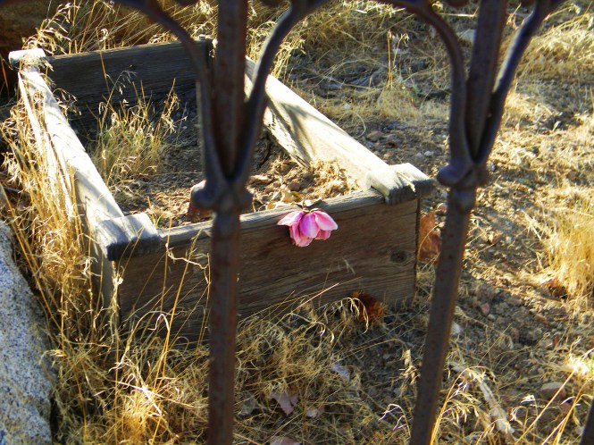 Pioneer child's grave, Virginia City, Nevada